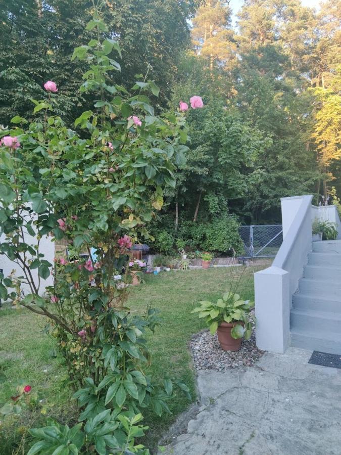 Apartament W Sasiedztwie Lasu 1800M Od Morza Sopot Exteriör bild